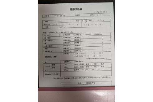 成約済の愛知県のチワワ(ロングコート)-386306の19枚目