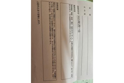 販売中の愛知県の狆 (チン)-384105の9枚目
