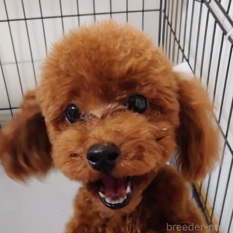 くん1枚目