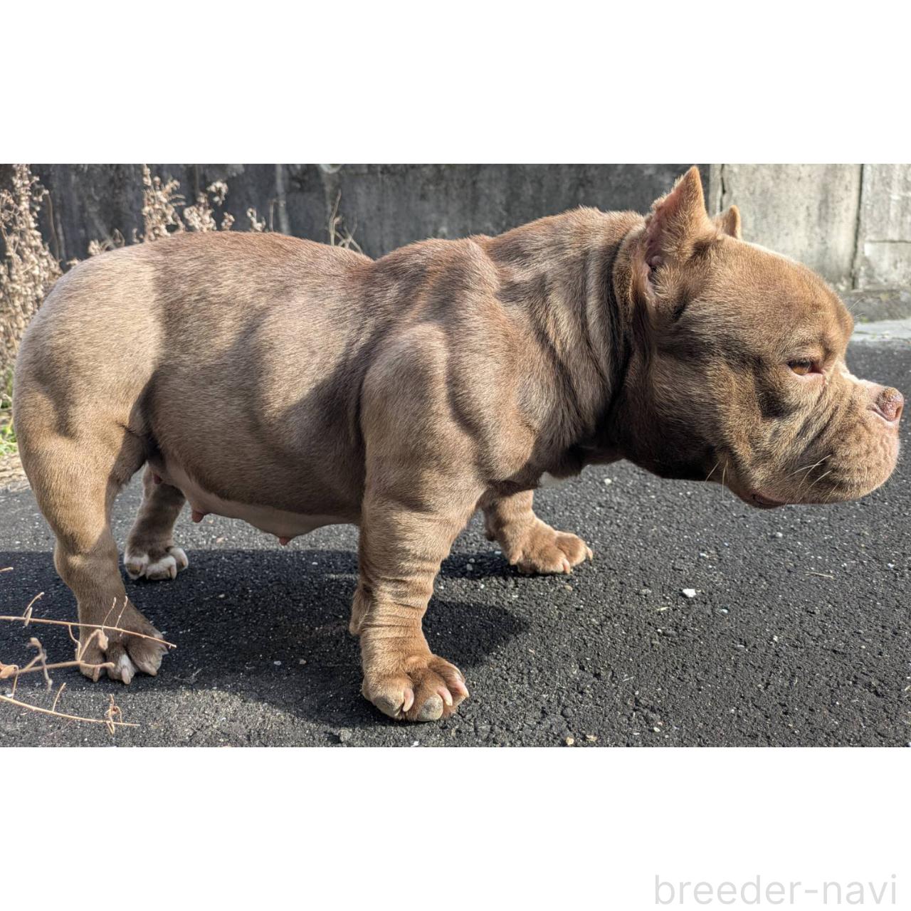 Bettyちゃん1枚目