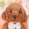 オンライン見学