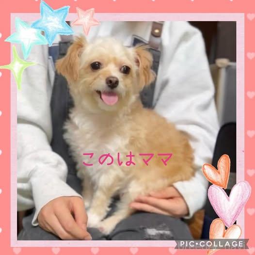 このはちゃん(*'▽')ちゃん1枚目