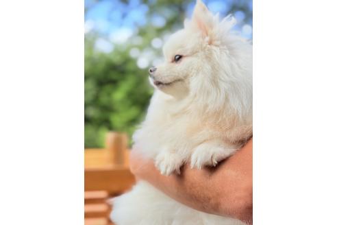ちゃん1枚目