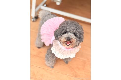 ちゃん1枚目