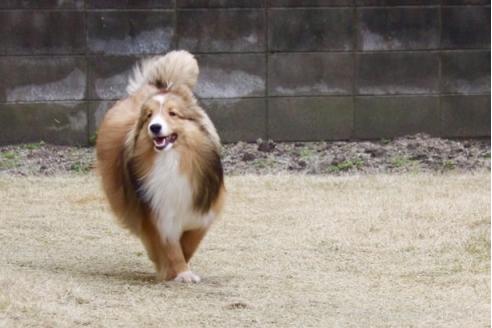 ちゃん1枚目