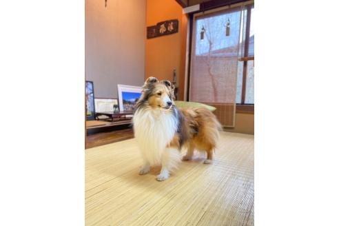 くん1枚目