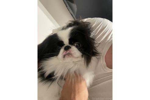 梵天丸くん1枚目