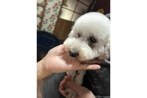 アキレスくん1枚目