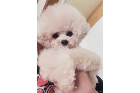 こたろうくん1枚目
