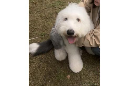 くん1枚目