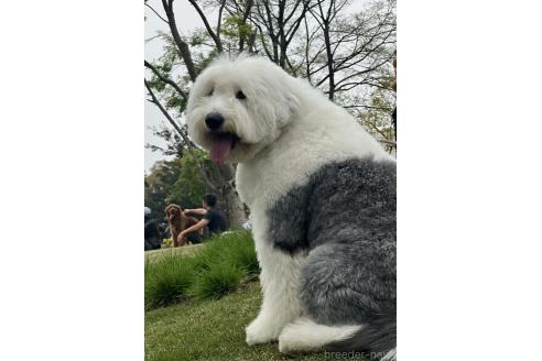 くん1枚目