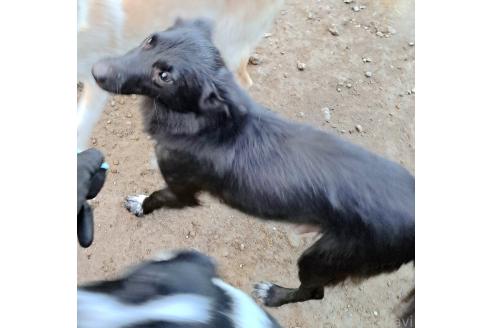いっしちゃん1枚目