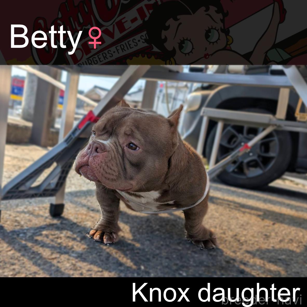 Bettyちゃん1枚目