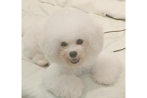 キャサリンちゃん1枚目