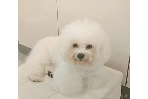 キャサリンちゃん1枚目