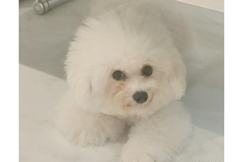 キャサリンちゃん1枚目