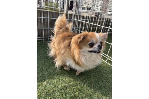 くん1枚目
