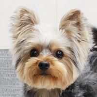 エアちゃん1枚目
