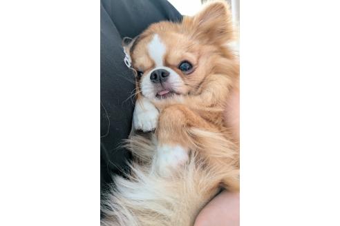サンジュくん1枚目