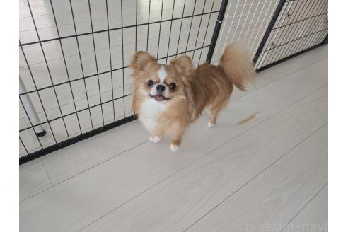 サンジュくん1枚目