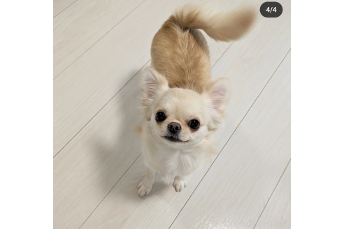 テムテムちゃん1枚目