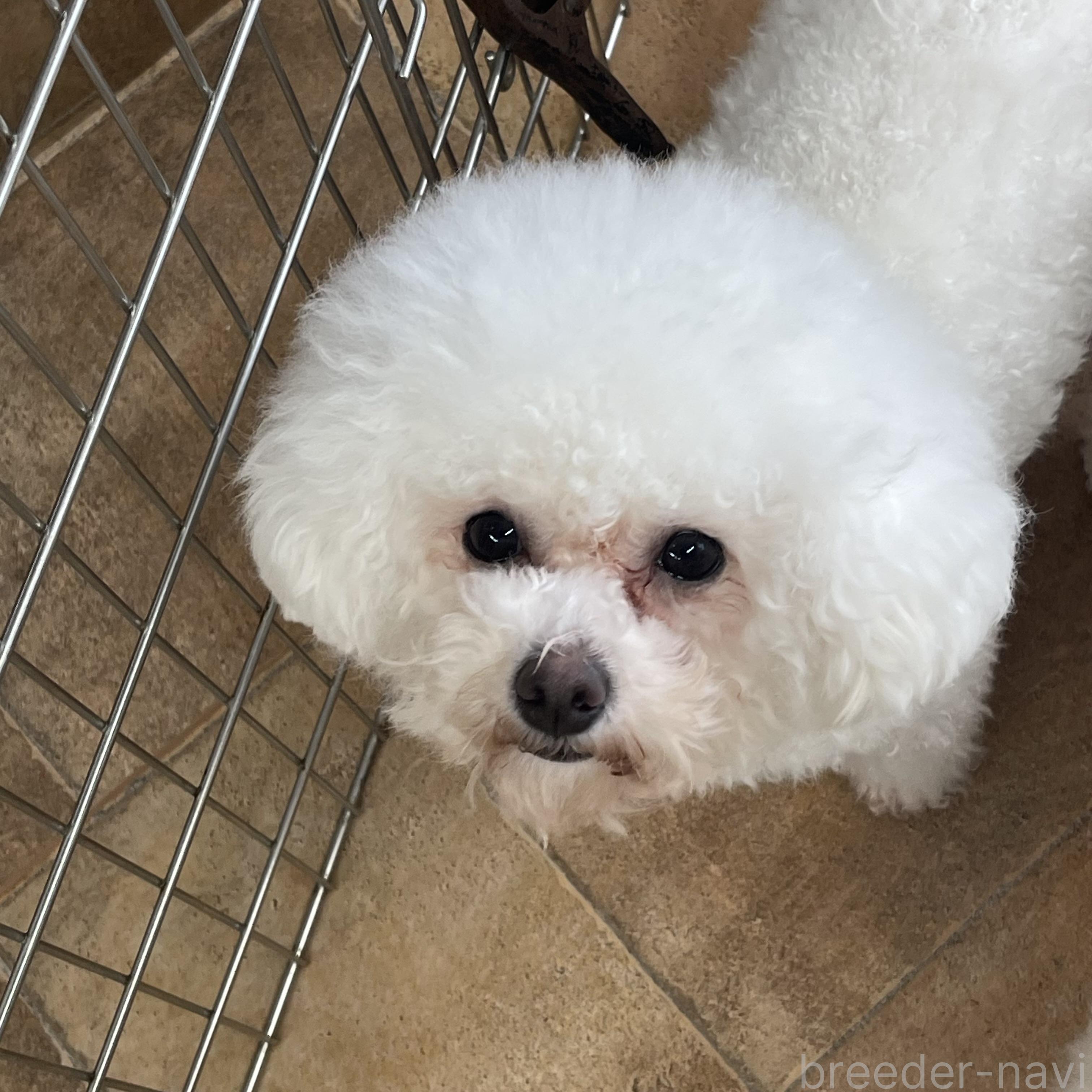 ちゃん1枚目