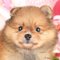 オンライン見学