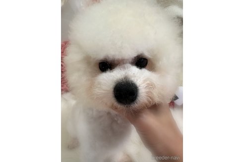 バブルくん1枚目