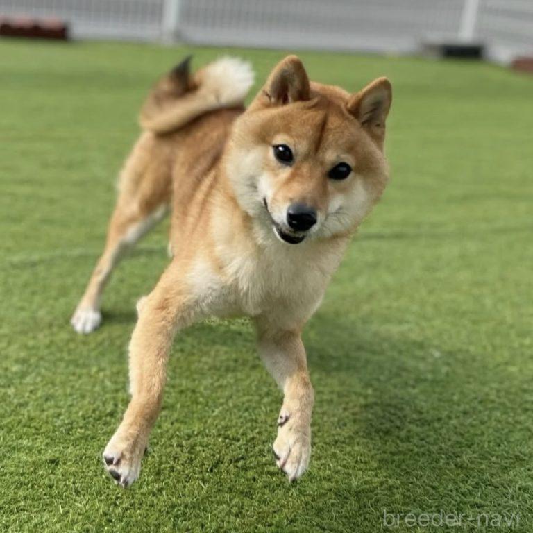 くん1枚目