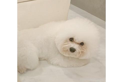玉ちゃん1枚目