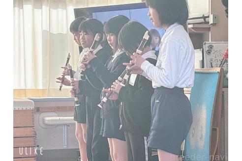 販売中の山口県のボルゾイ-363845の4枚目