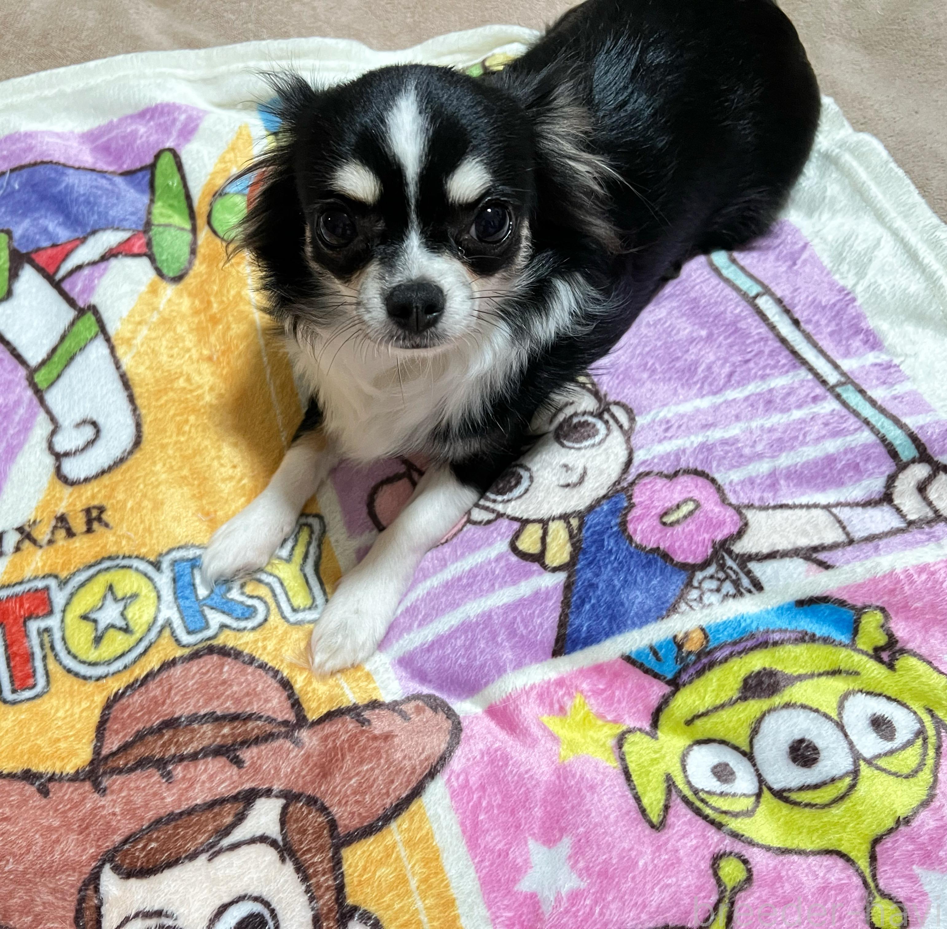 ちゃん1枚目