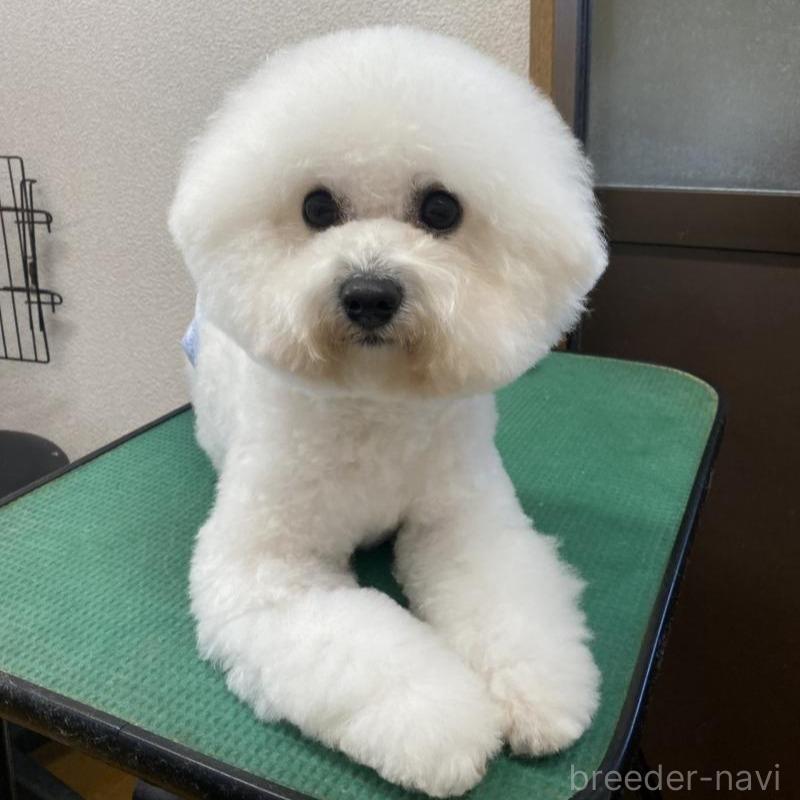 ノアくん1枚目