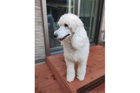 ノアちゃん1枚目