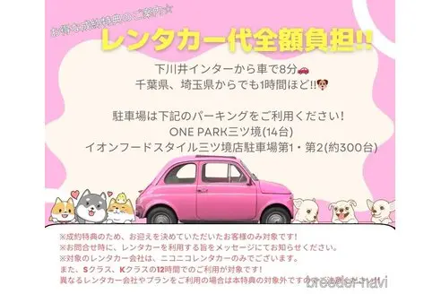 販売中の神奈川県のマルプー:マルチーズ×トイプードル-394251の17枚目