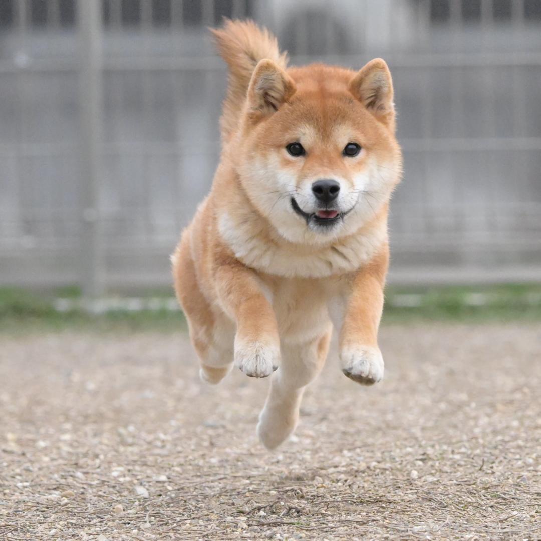くん1枚目
