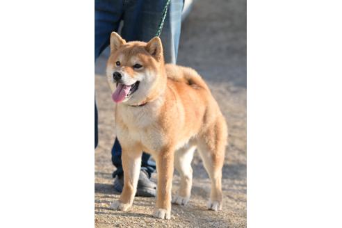 くん1枚目