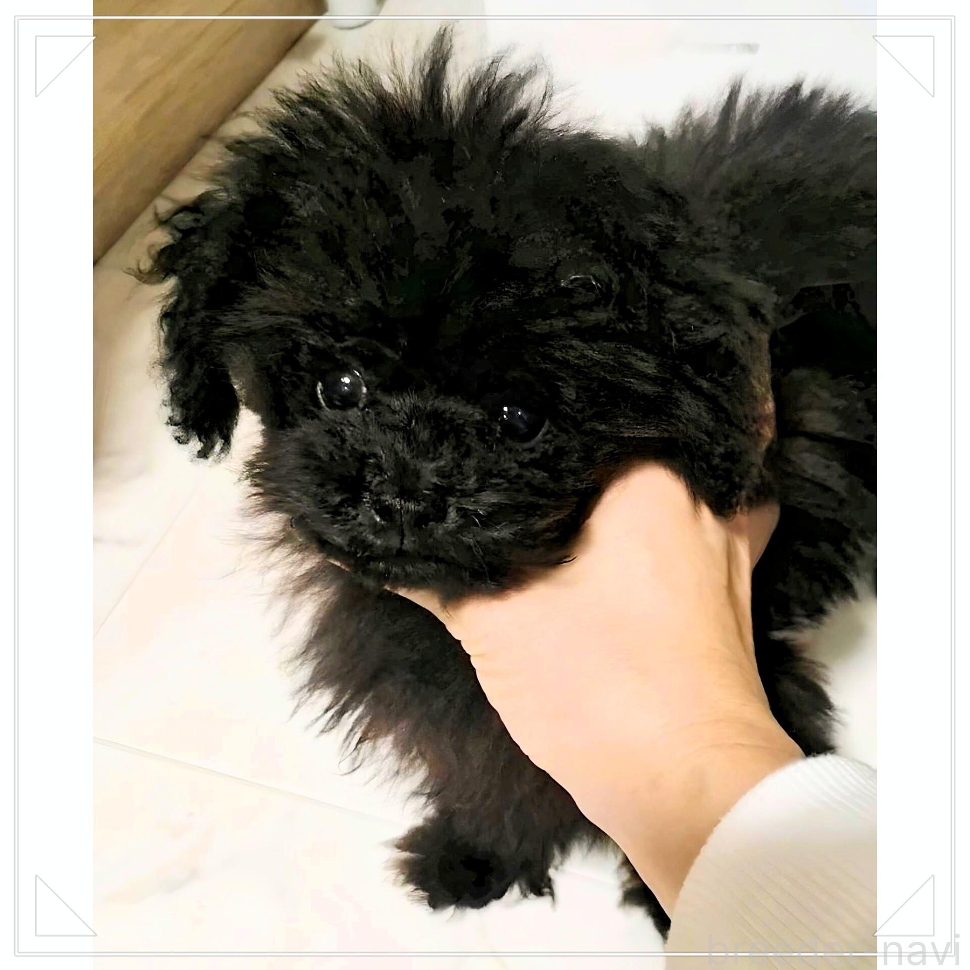 くん1枚目