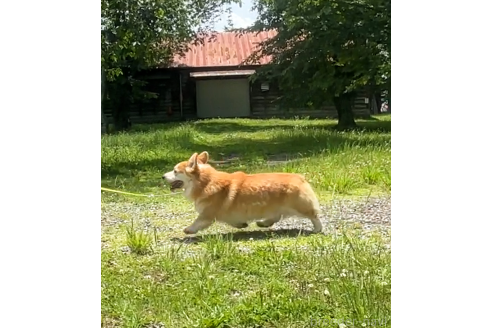 くん1枚目