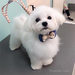 ミントくん1枚目