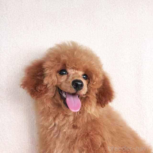 ちゃん1枚目