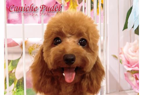 ちゃん1枚目