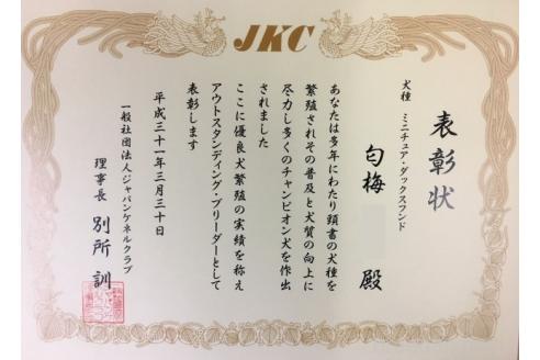 販売中の兵庫県のミニチュアダックスフンド(ロングヘアード)-394751の4枚目