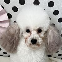 くん1枚目