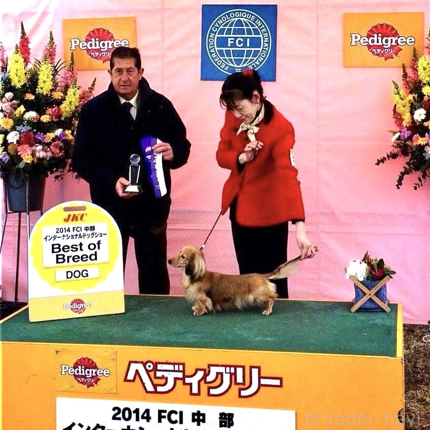 ちりんくん1枚目
