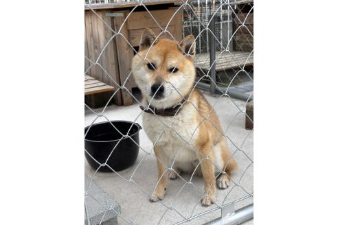玲央くん1枚目