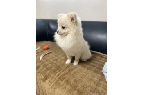 ケンシロウくん1枚目