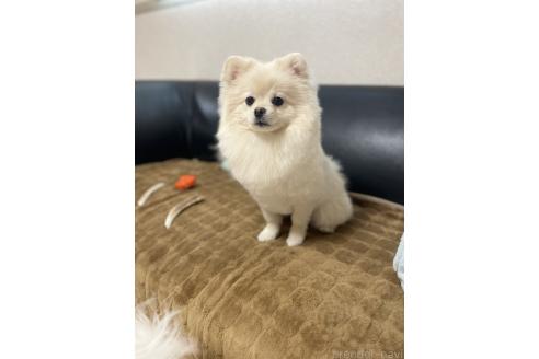 ケンシロウくん1枚目