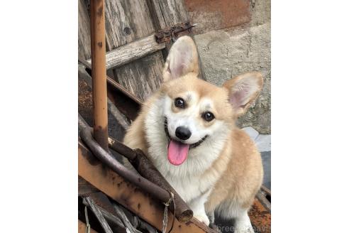 ちゃん1枚目
