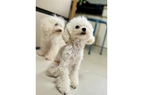 りみちゃん1枚目